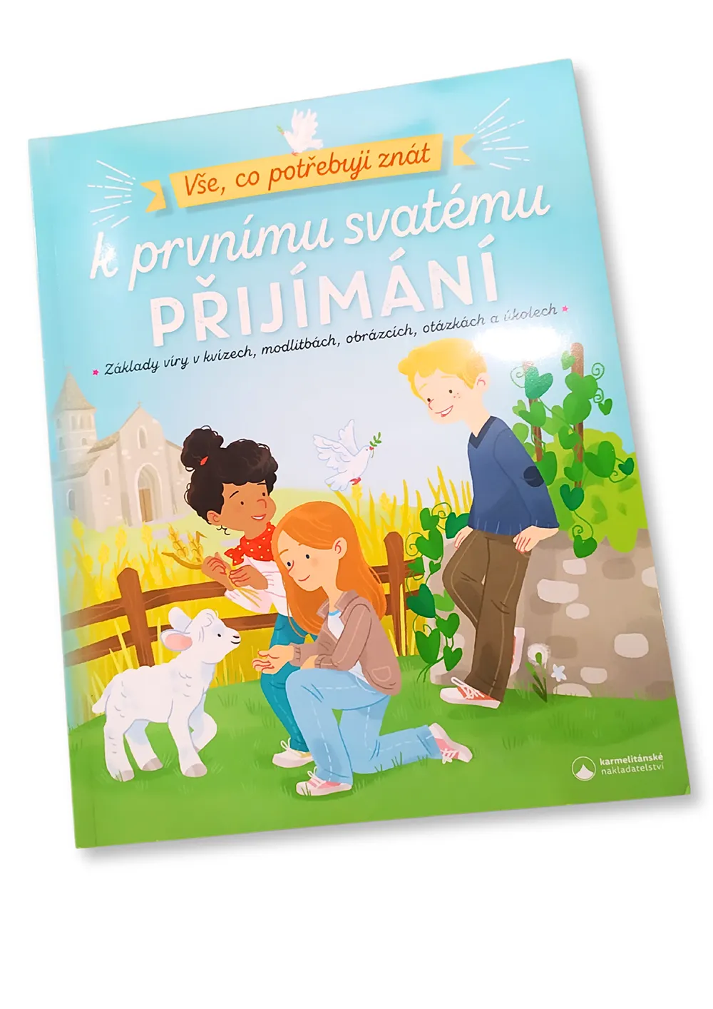 Vše, co potřebuji znát k prvnímu svatému přijímání